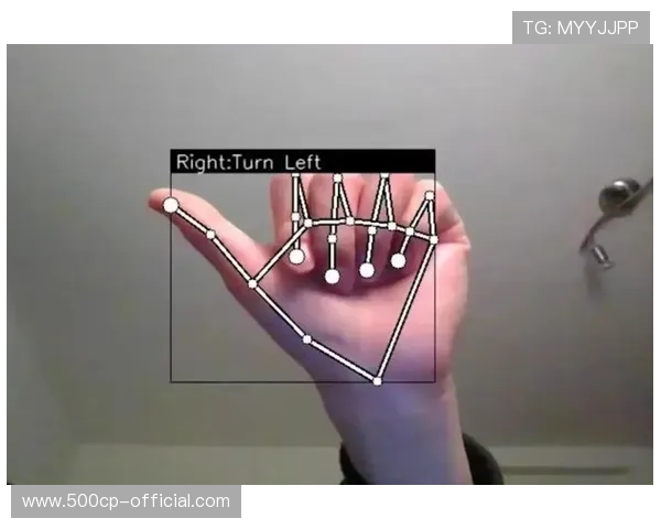 手势识别技术实现无接触式播放控制功能